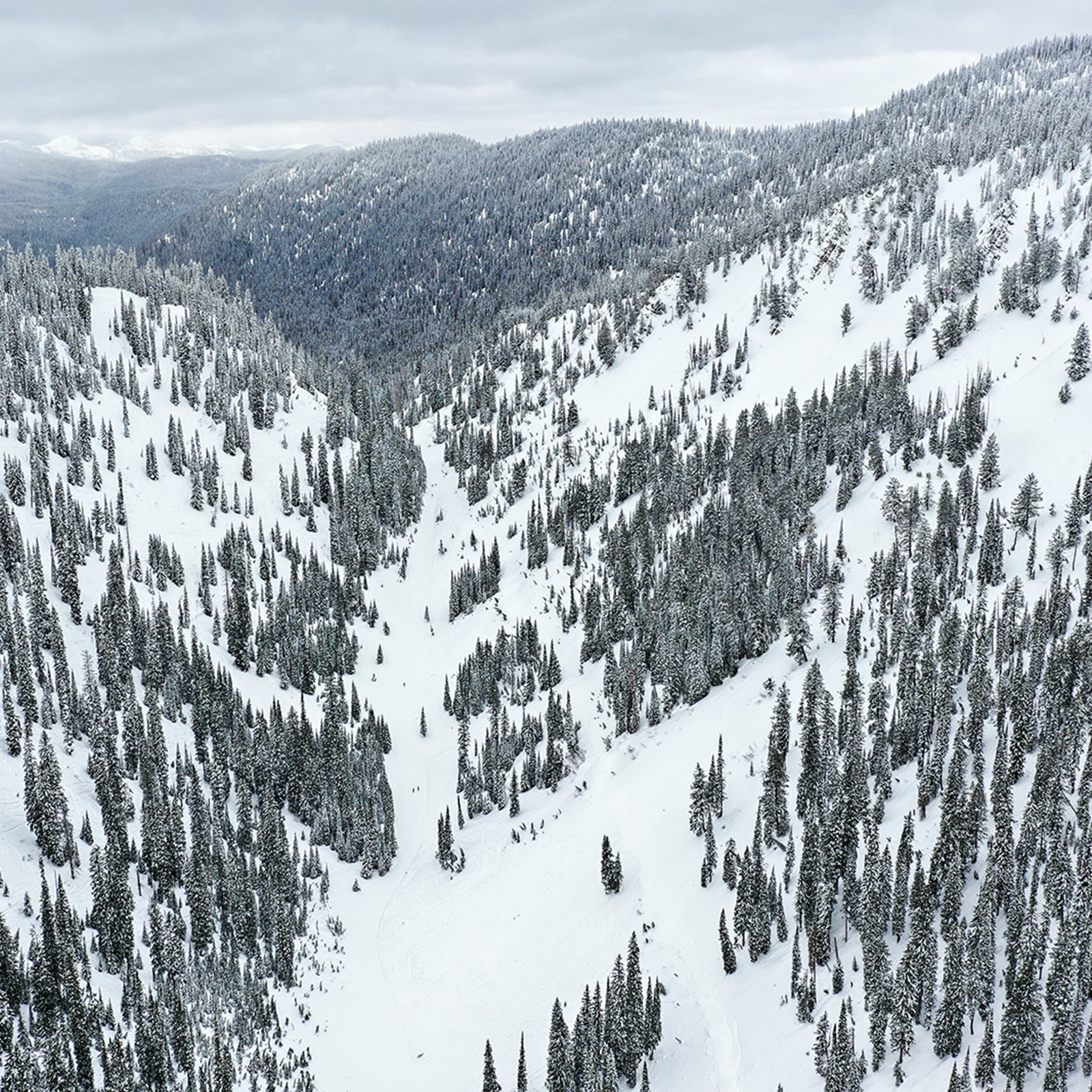 Women's Mentorship Program - Northwest Avalanche Center