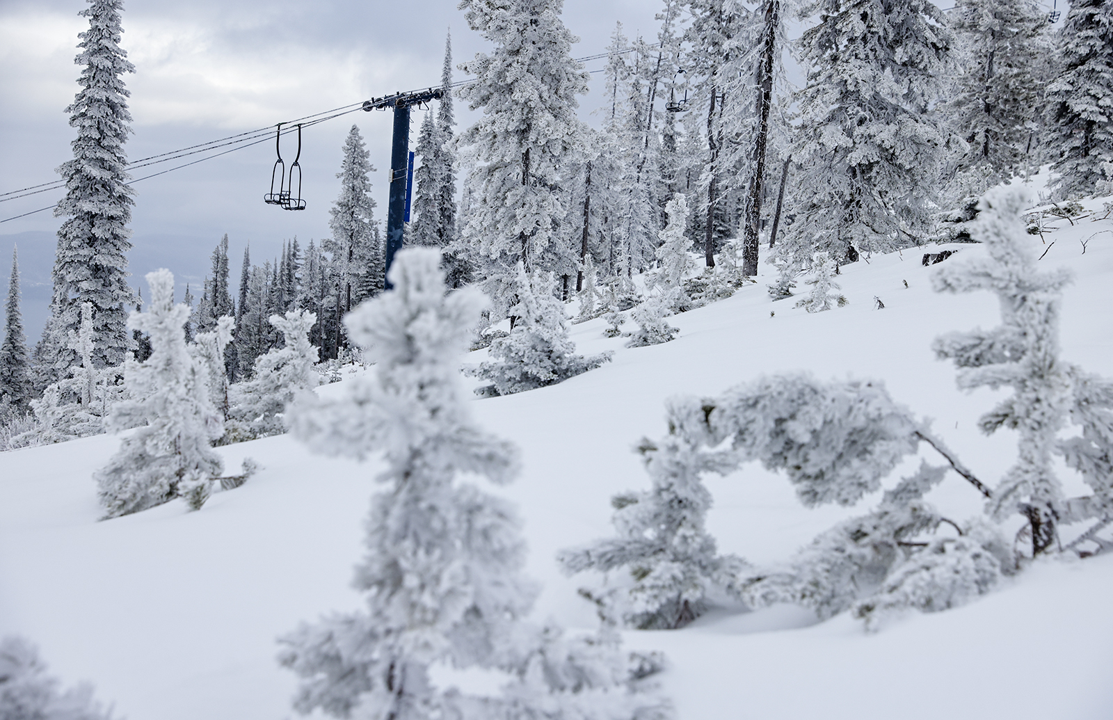 Blacktail Mountain on Jan. 5, 2024. Hunter D’Antuono | Flathead Beacon ...