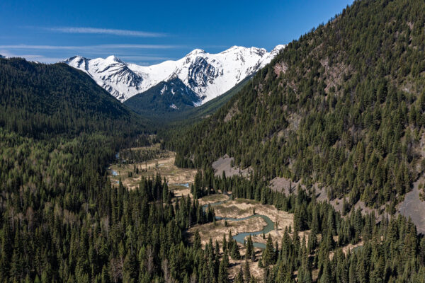 The Tragedy in Tunnel Creek