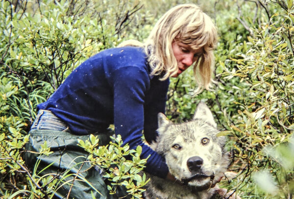 Call of the Wild Woman