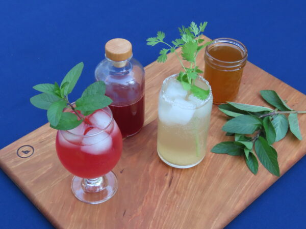 Raspberry Shrub Mocktail or Cocktail