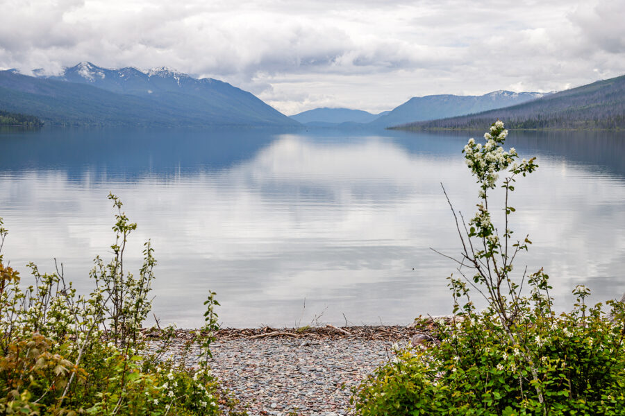 Walsh, Wheeler and the Lake They Shared