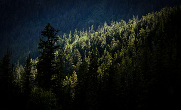 Public Land Advocates Warn Senate Amendment Could Greenlight Sale of National Parks