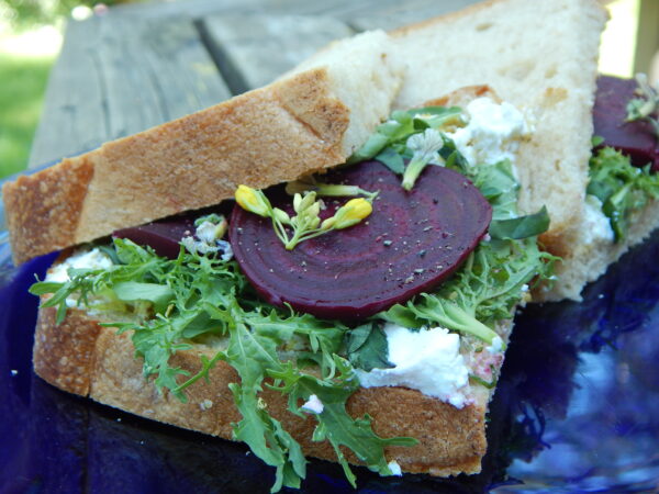 Goat Cheese and Smoked-Beet Sandwiches