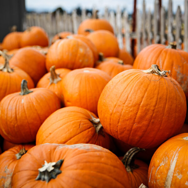 Fall Can&#8217;t-Miss Events