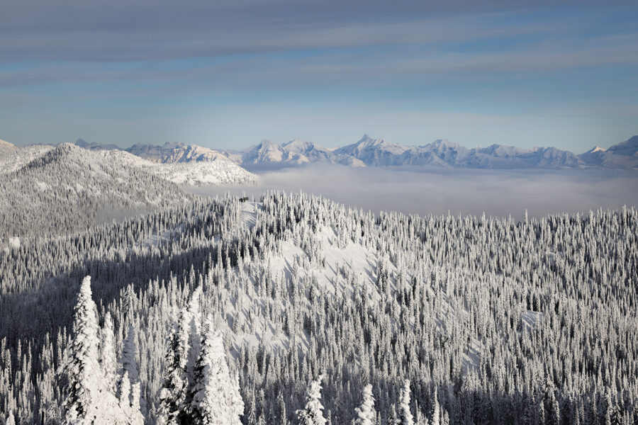 First Wave of Winter