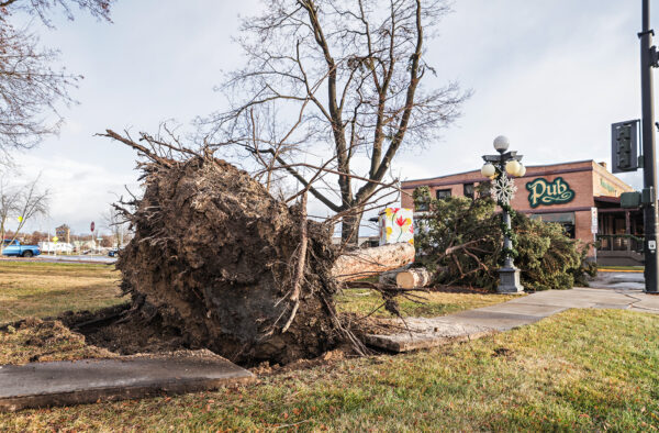 Violent Windstorm Leaves 31,000 Without Power Across Northwest Montana