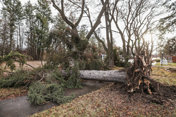 Thousands Remain Without Power as Strong Winds Return to Northwest Montana