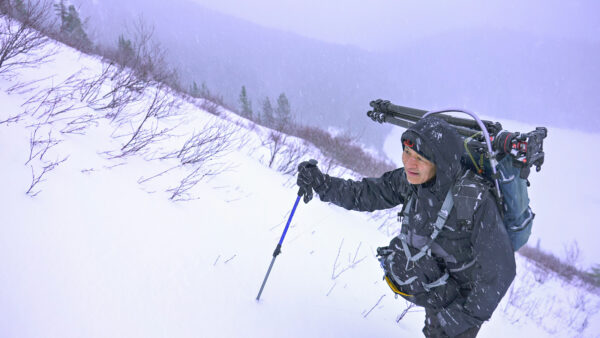 The Man and the Mountain Goats — 男と山ヤギたち