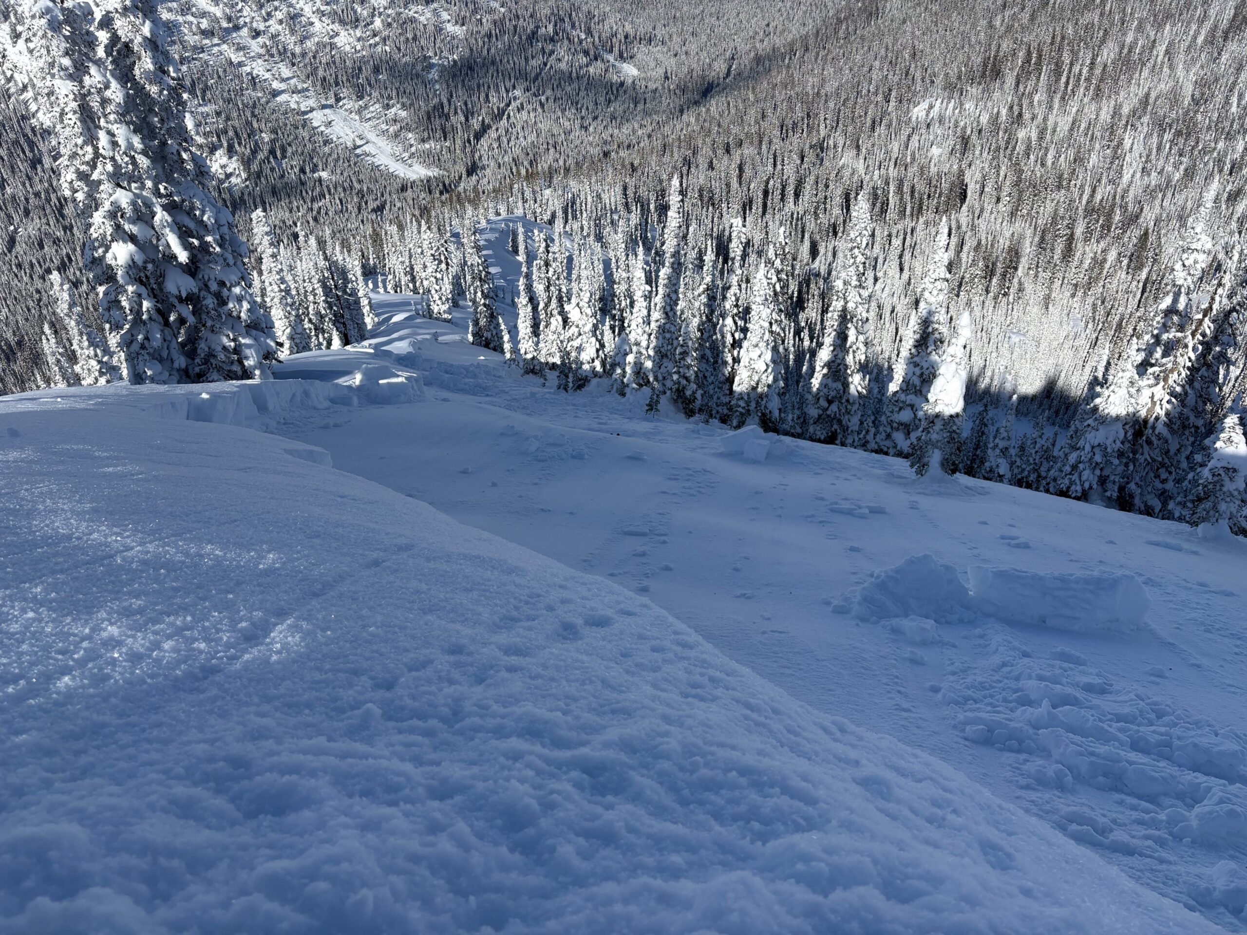 ‘Downright Nerve-racking’ Snowpack Prompts Steady Stream of Human ...