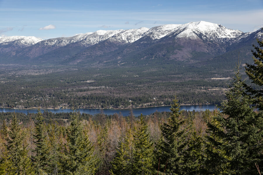 Forest Service Approves First Swan Valley Logging Project Since Scrapping Mid-Swan Plan