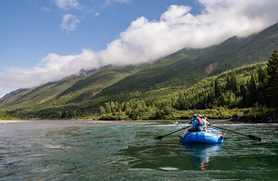 Report Spotlights Nexus of Conservation and Forest Management on Wild and Scenic Flathead River