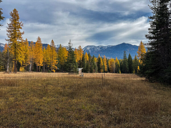 The Daily Roundup: Conservation Easement Protects 60 Acres Near Jewel Basin Hiking Area