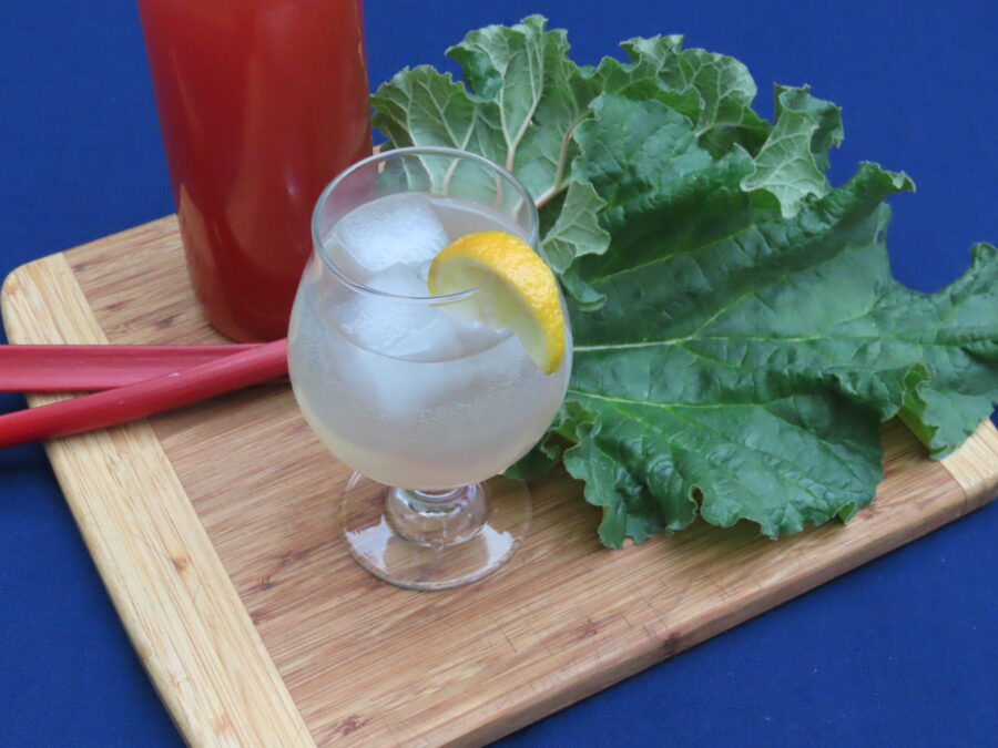 Rhubarb-Ginger Seltzer