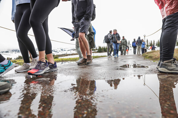 The Daily Roundup: Visitation to Glacier Park Dips in May