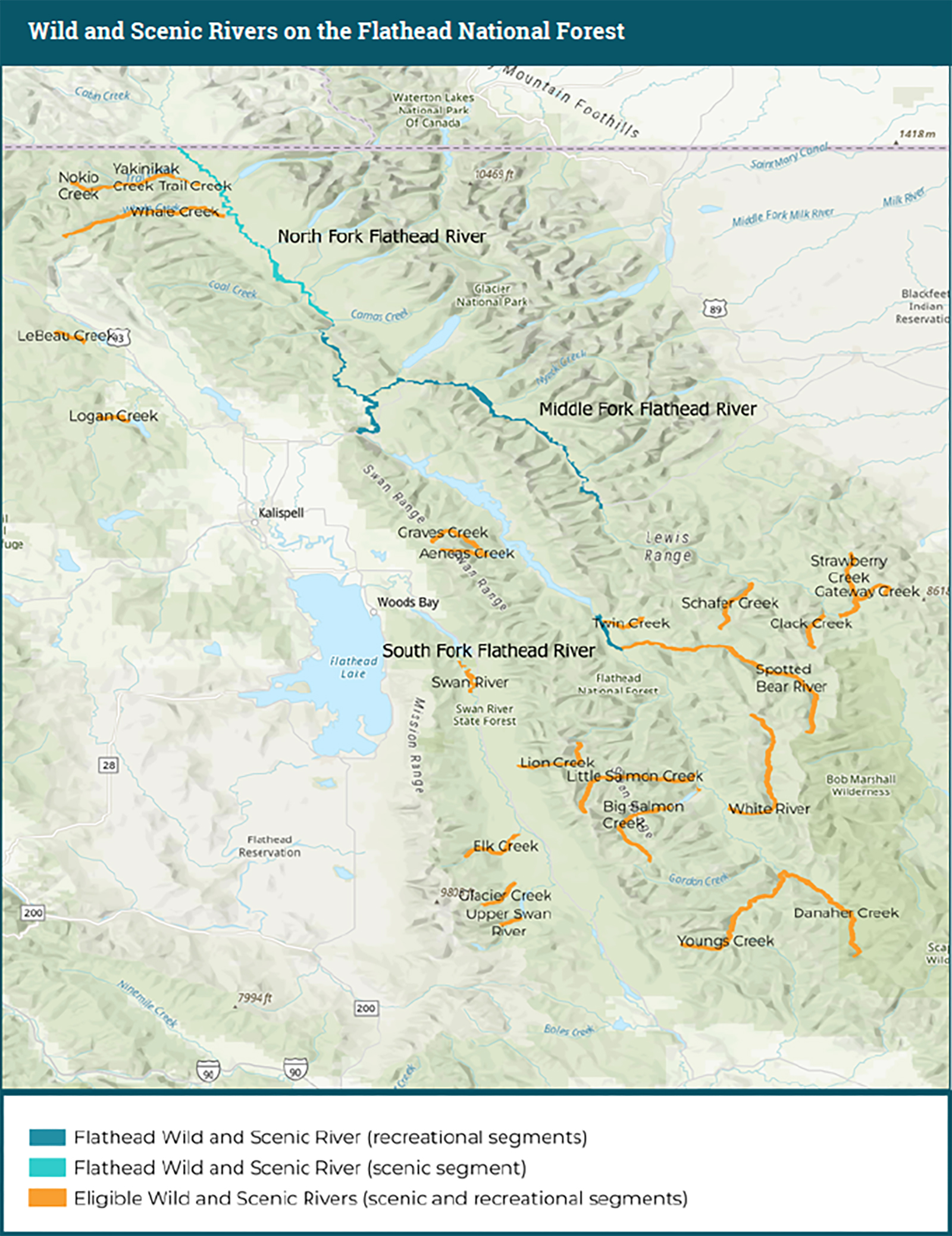 Report Spotlights Nexus of Conservation and Forest Management on Wild and Scenic Flathead River