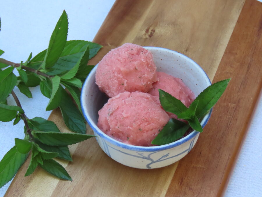 Watermelon-Mint Sorbet