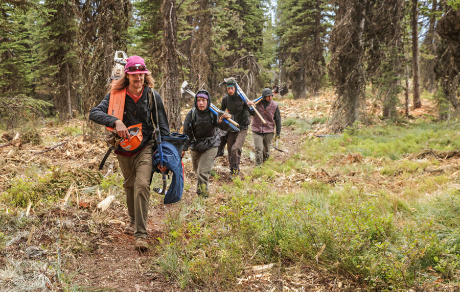 More Dirt to Play On: Flathead Area Mountain Bikers Blaze New Trails