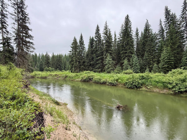 Flathead Land Trust Secures New Easement on Stillwater River