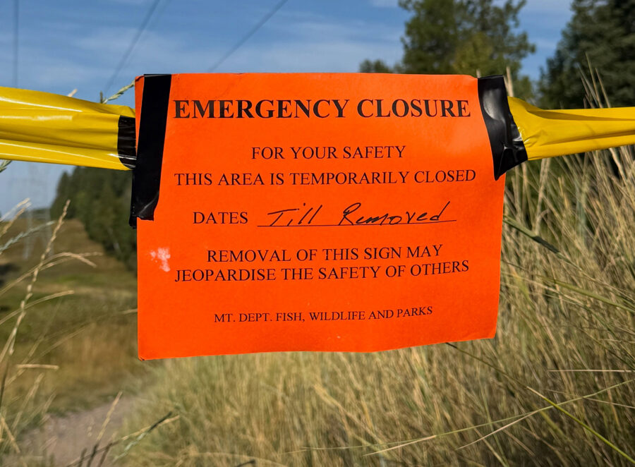 Wildlife Managers Rule Columbia Falls Bear Attack a ‘Surprise Defensive Encounter’
