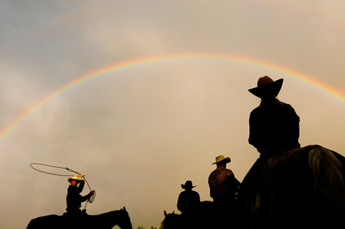 So Long, 2012: Year in Sports Images