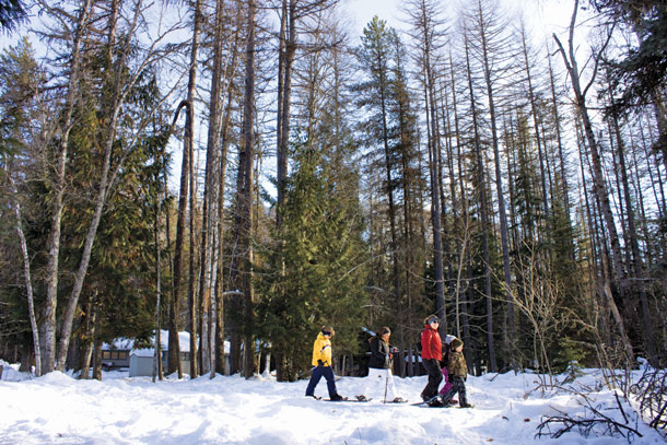 EXPLORE: Snowshoeing in Glacier National Park