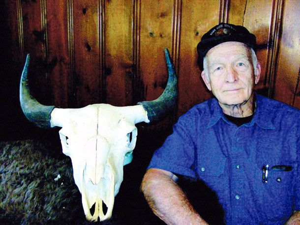 Plains Bison: Forever Wild or Forever Lost?