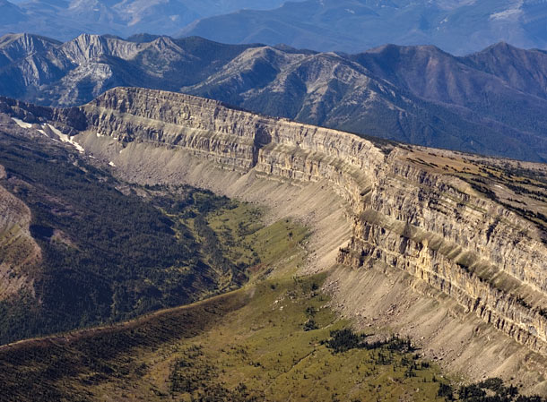 Preserving the Wild Empire
