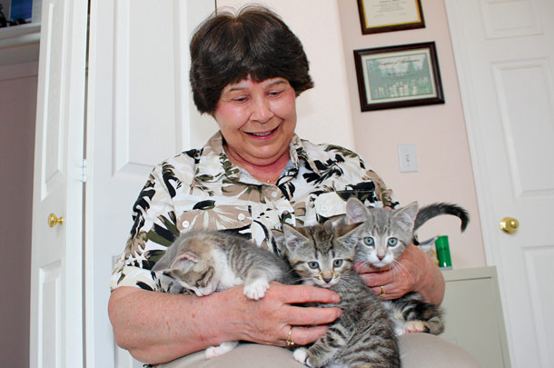  Nursing Kittens Back to Health