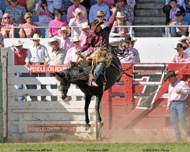 World Class Bucking Horse Event Coming to Kalispell