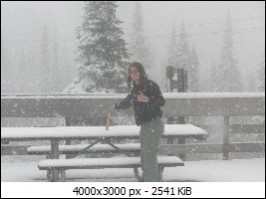 Three Inches of Snowfall on Whitefish Summit