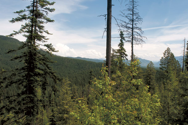 Haskill Basin Considered by Legacy Program