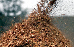 Forestry Groups Take Aim at New EPA Regulations