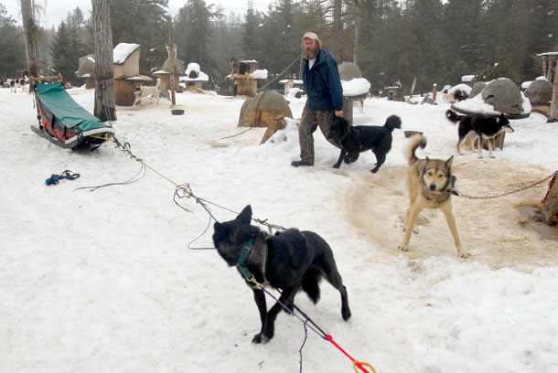 From Trailer to Trails, New Life for Rescued Huskies