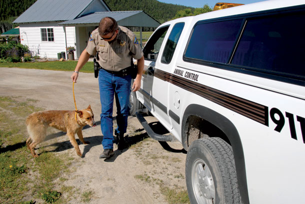 On the Road With County Animal Control