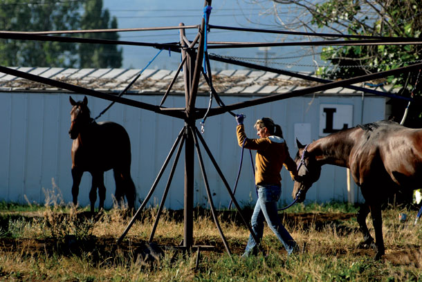 Montana Horse Racing: A Way of Life