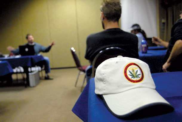 Cannabis in the Capitol