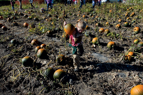 PLACES: Sweet Pickin’s Pumpkin Patch