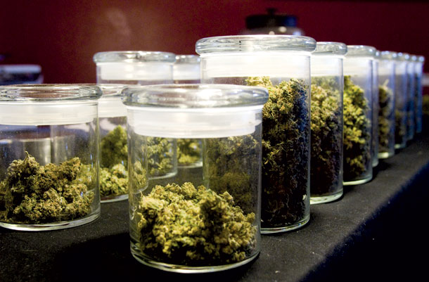 Judge Blocks Parts of Montana Medical Marijuana Law