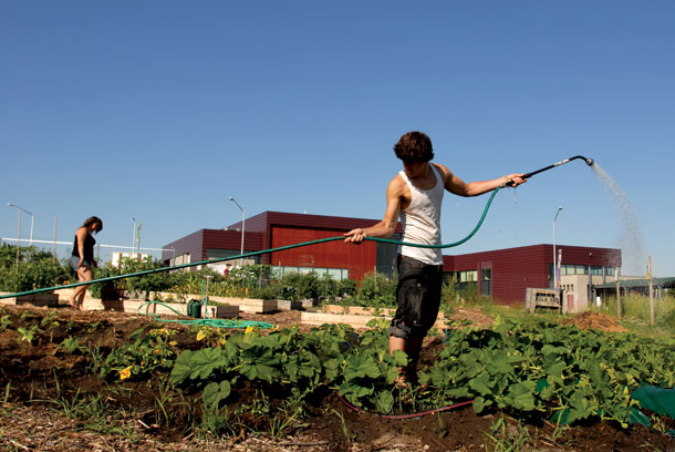 Local Foods Deepen Their Roots