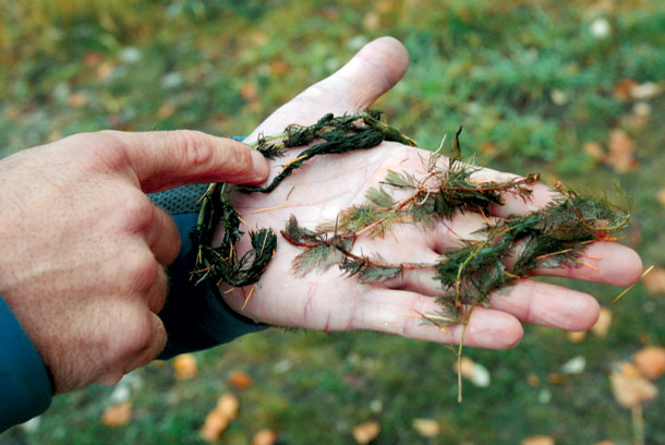 Federal, State Officials Discuss Aquatic Invasive Species