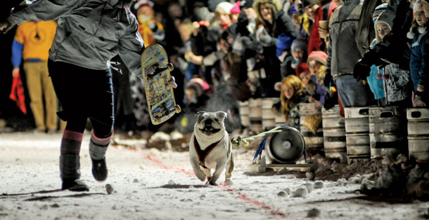 Crush’s Taps Go to the Dogs