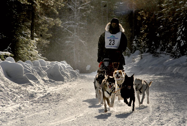 Mush On: Sled Dog Days a Go