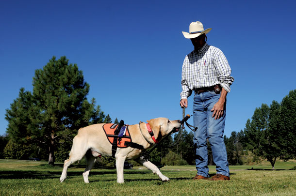 K-9 Companions for Veterans