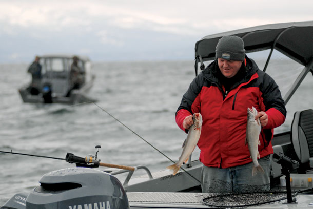 Can Diehard Anglers Save the Bull Trout?