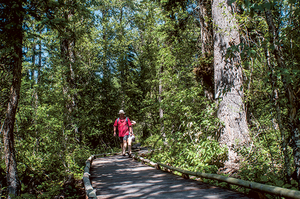 Preserving the Whitefish Wetlands