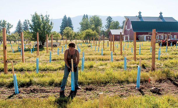 On a Garden in Columbia Falls, a Classroom Sprouts Up