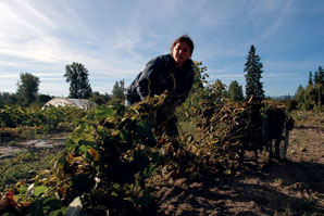 Saving Raven Ridge Farm