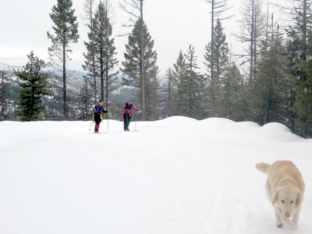 PLACES: Blacktail Nordic Trails