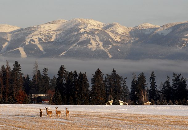 State Commission Adopts Revised Hunting Regulations